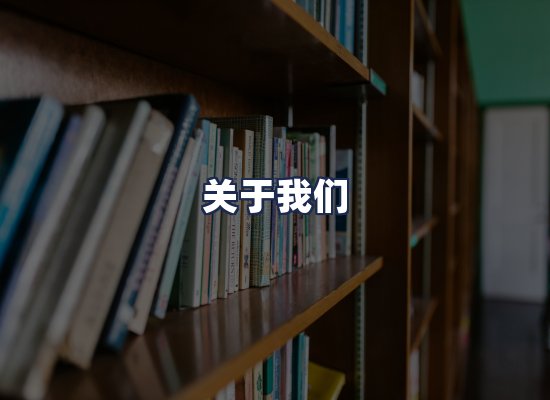 关于我们